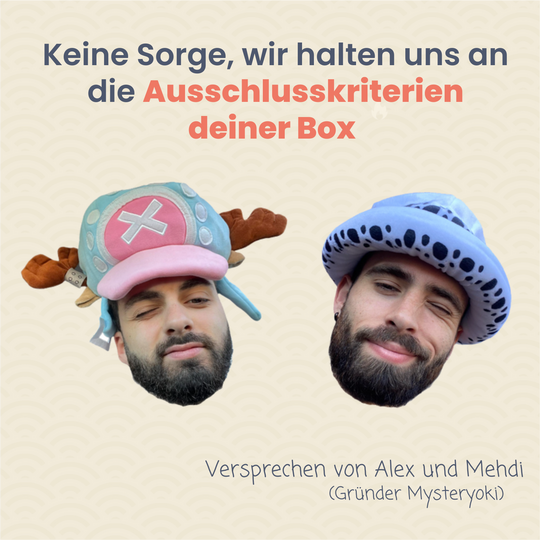 Die Mystery Box mit Manga-Figuren 100% Erfahrung ㊙️