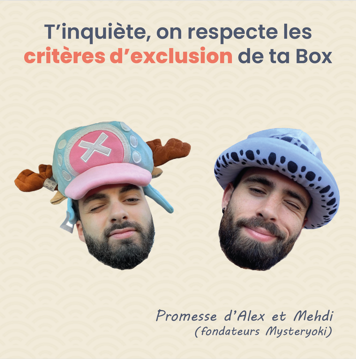 Die Manga-Figur-Mystery-Box ㊙️